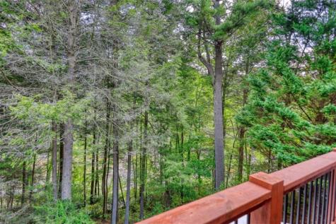 450 Flat Creek Circle Blue Ridge GA 30513