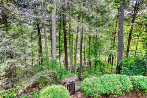 450 Flat Creek Circle Blue Ridge GA 30513