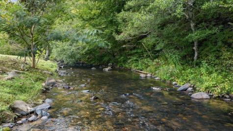 235 W Conasauga Creek Ellijay GA 30540