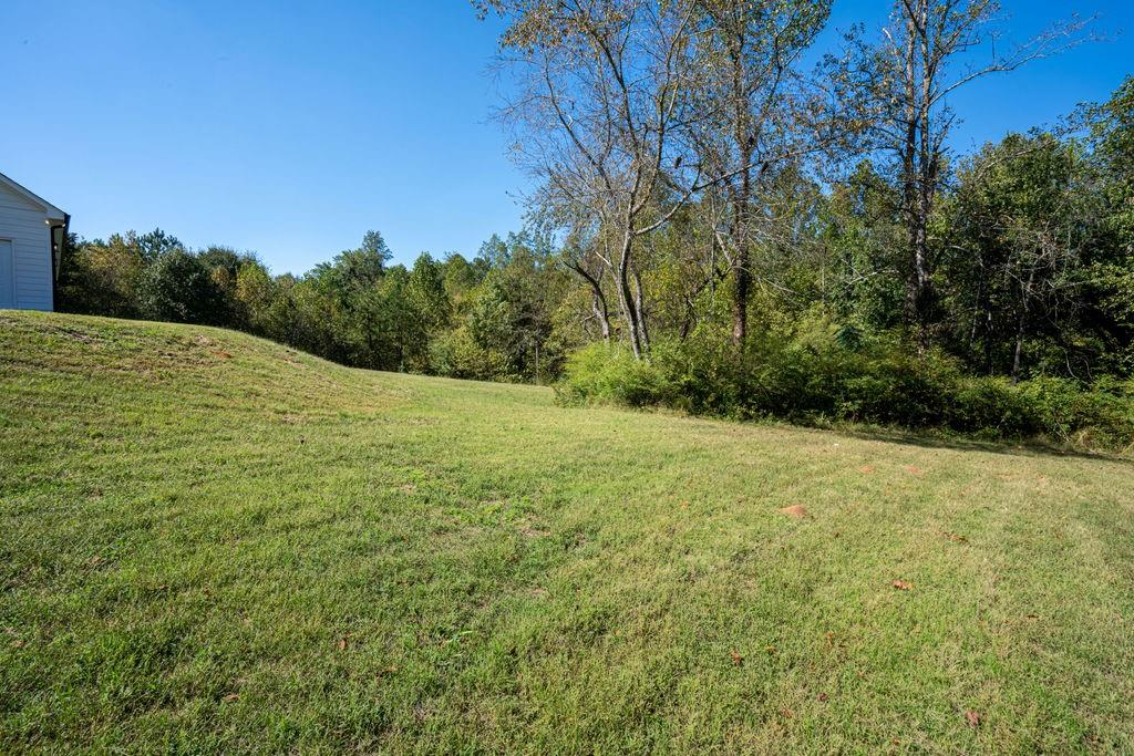 161 Roscoe Collette Road Dawsonville GA 30534