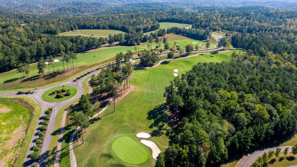 161 Roscoe Collette Road Dawsonville GA 30534