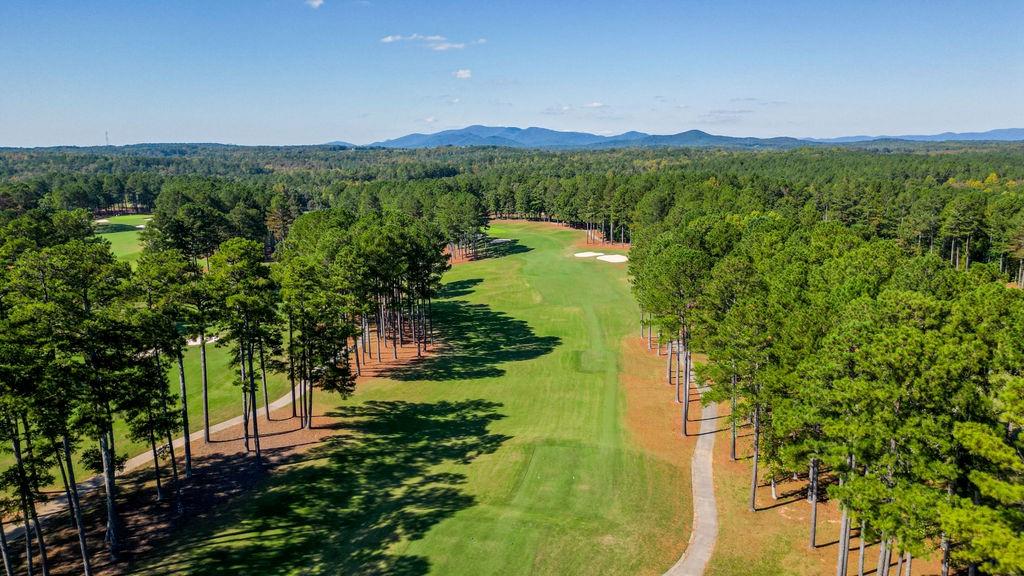 161 Roscoe Collette Road Dawsonville GA 30534