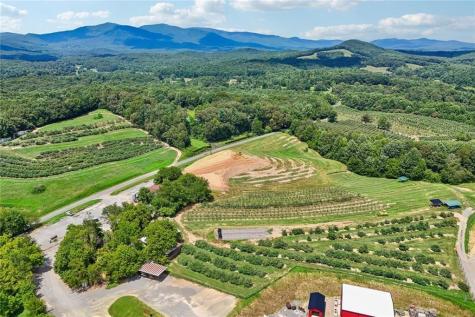 4218 Roy Road Ellijay GA 30536