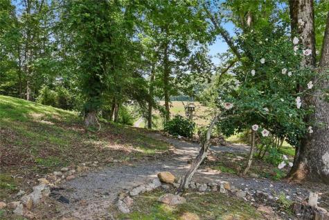 4218 Roy Road Ellijay GA 30536