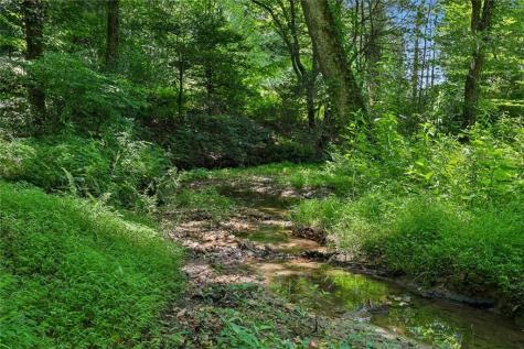 4218 Roy Road Ellijay GA 30536