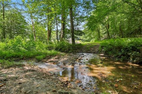 4218 Roy Road Ellijay GA 30536