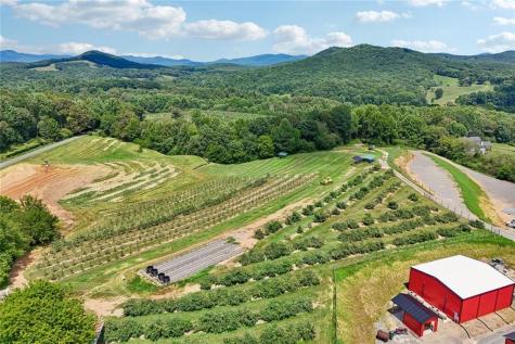 4218 Roy Road Ellijay GA 30536