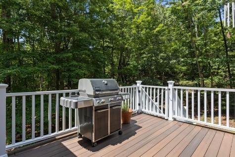 45 Hemlock Court Talking Rock GA 30175