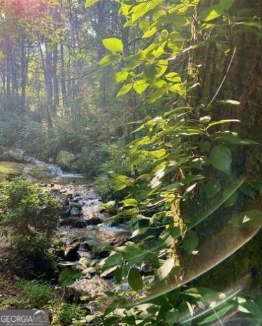 130 Mustang Creek Road Cleveland GA 30528