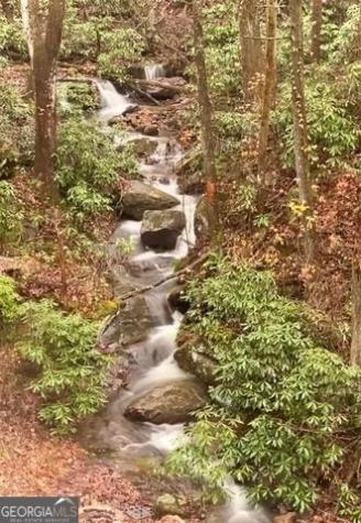 130 Mustang Creek Road Cleveland GA 30528
