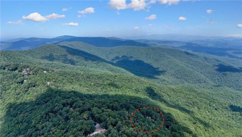 73 Resting Bear Ridge Big Canoe GA 30143