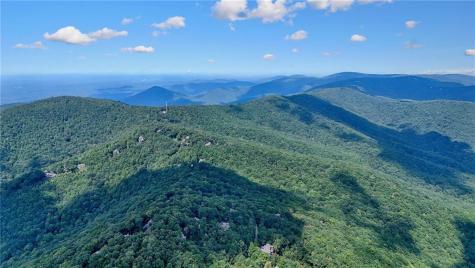 73 Resting Bear Ridge Big Canoe GA 30143