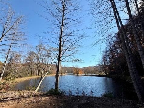 90 Cove View Lane Clarkesville GA 30523