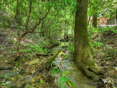 46 Private Drive Ellijay GA 30536