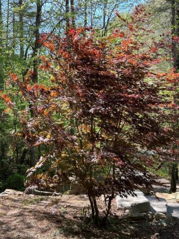 46 Private Drive Ellijay GA 30536
