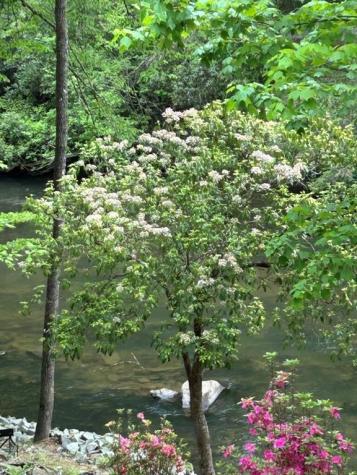 46 Private Drive Ellijay GA 30536