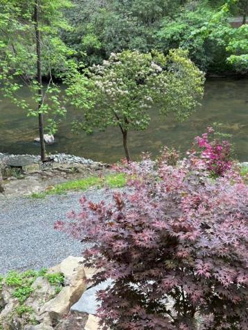 46 Private Drive Ellijay GA 30536