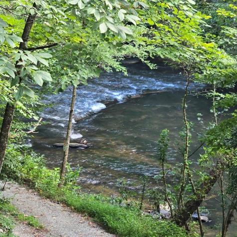46 Private Drive Ellijay GA 30536