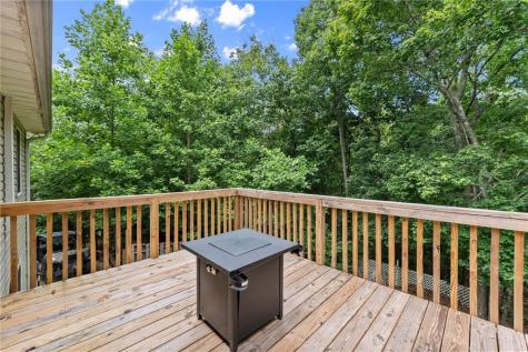 92 Cedar Springs Lane Dahlonega GA 30533