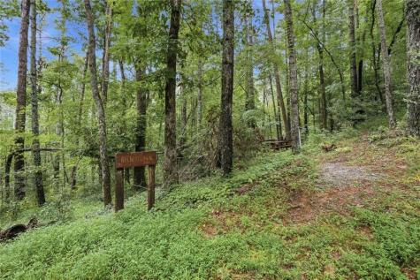 472 Glenridge Drive Cleveland GA 30528