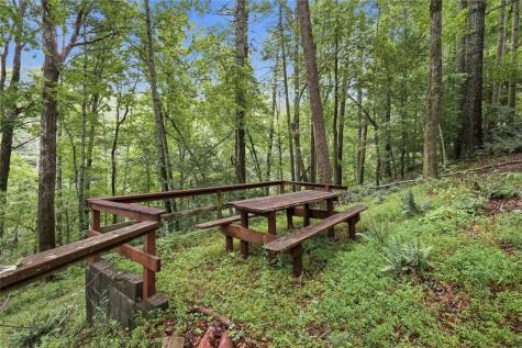 472 Glenridge Drive Cleveland GA 30528