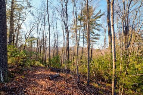 138 Lucius Lane Cherry Log GA 30522