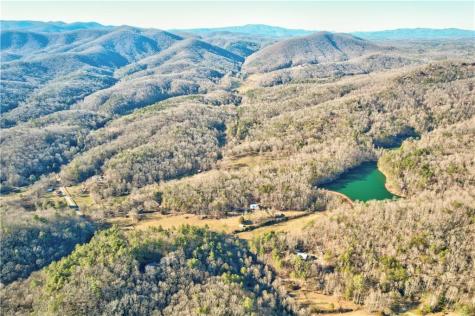 138 Lucius Lane Cherry Log GA 30522