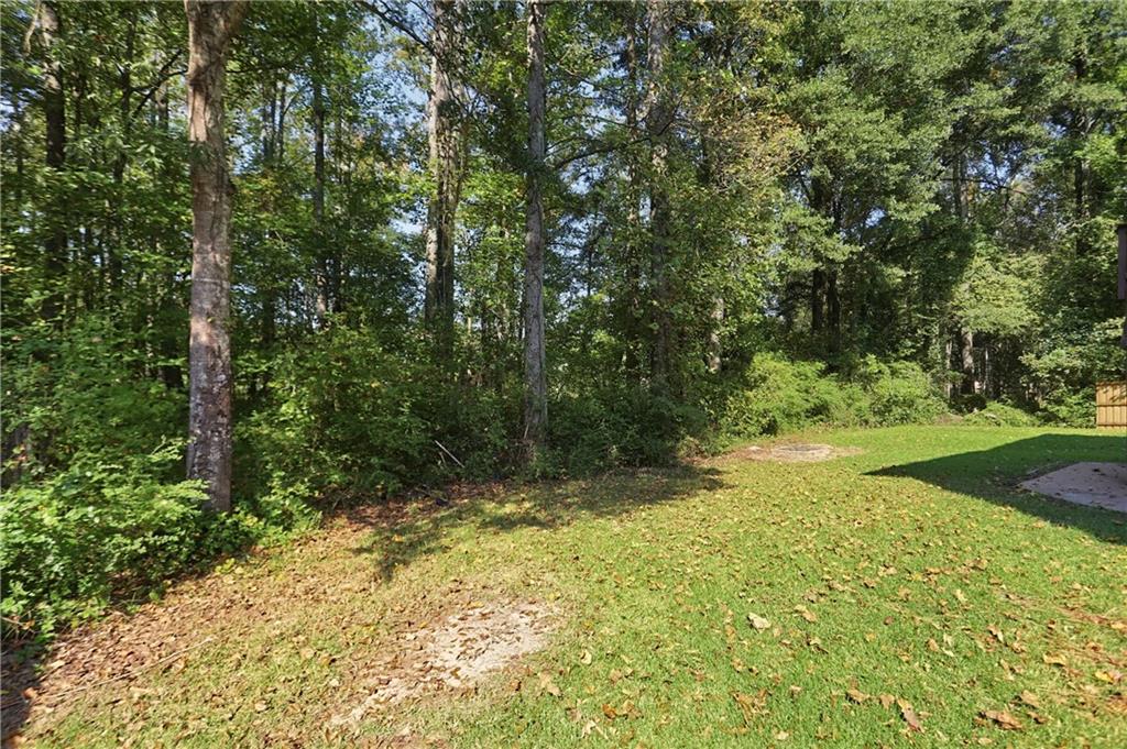 996 Spanish Moss Trail Loganville GA 30052