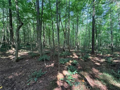 Lot 14 Pettit Road Jasper GA 30175