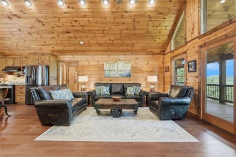 175 Stuart Drive Mineral Bluff GA 30559