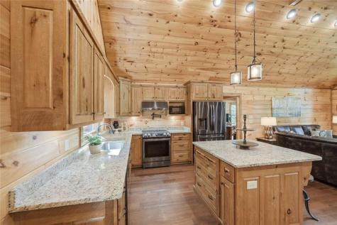 175 Stuart Drive Mineral Bluff GA 30559