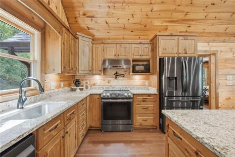 175 Stuart Drive Mineral Bluff GA 30559