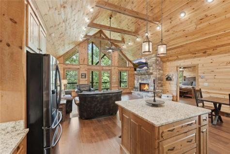 175 Stuart Drive Mineral Bluff GA 30559