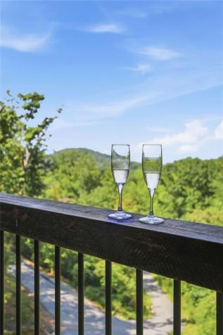 175 Stuart Drive Mineral Bluff GA 30559