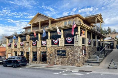 175 Stuart Drive Mineral Bluff GA 30559