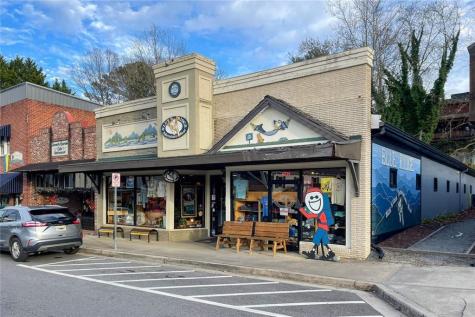 175 Stuart Drive Mineral Bluff GA 30559