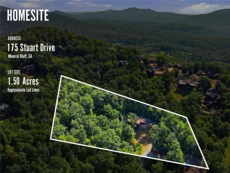 175 Stuart Drive Mineral Bluff GA 30559