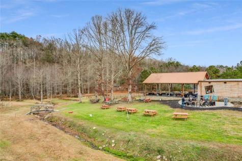 175 Stuart Drive Mineral Bluff GA 30559
