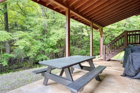 1564 Black Ankle Creek Road Cherry Log GA 30522