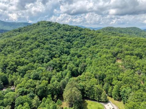 1564 Black Ankle Creek Road Cherry Log GA 30522