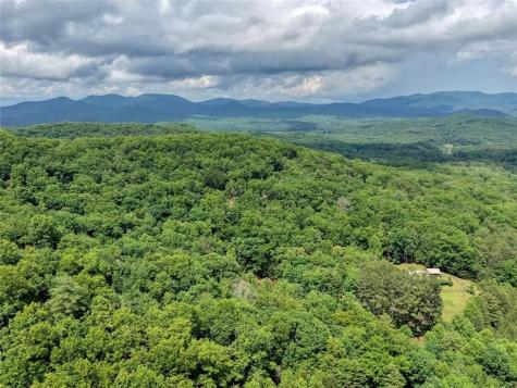 1564 Black Ankle Creek Road Cherry Log GA 30522