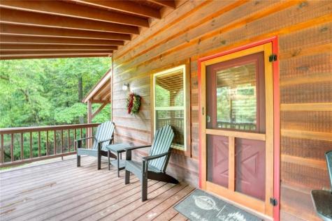 1564 Black Ankle Creek Road Cherry Log GA 30522
