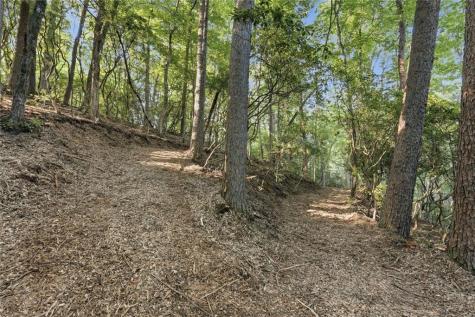 2781 Old Parker Place Road Ellijay GA 30536