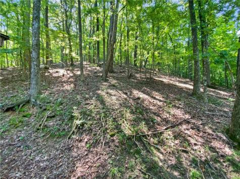 764 Chestnut Cove Trail Jasper GA 30143