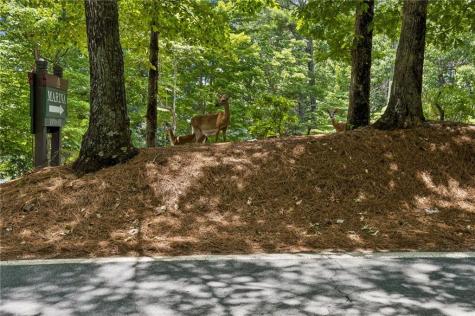 208 Trout Lily Trail Jasper GA 30143