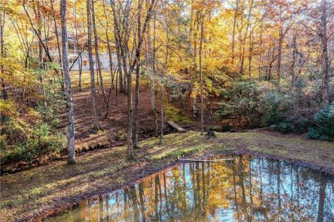 339 Wehunt Road Blue Ridge GA 30513