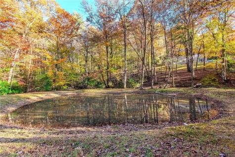 339 Wehunt Road Blue Ridge GA 30513