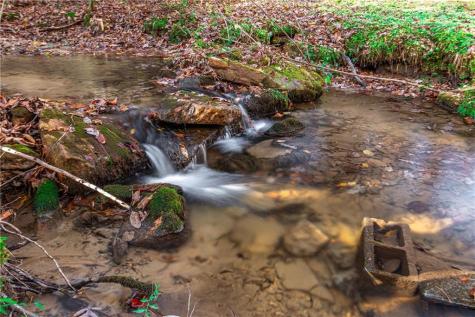 339 Wehunt Road Blue Ridge GA 30513