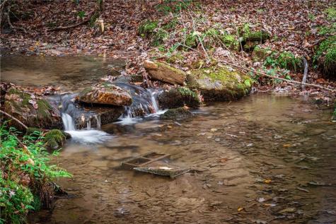 339 Wehunt Road Blue Ridge GA 30513