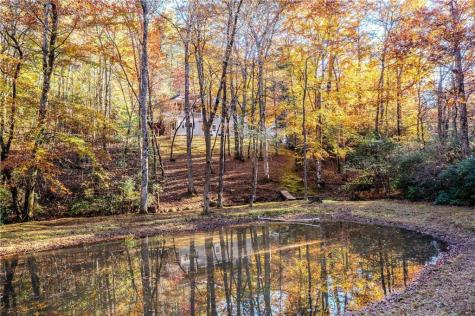 339 Wehunt Road Blue Ridge GA 30513
